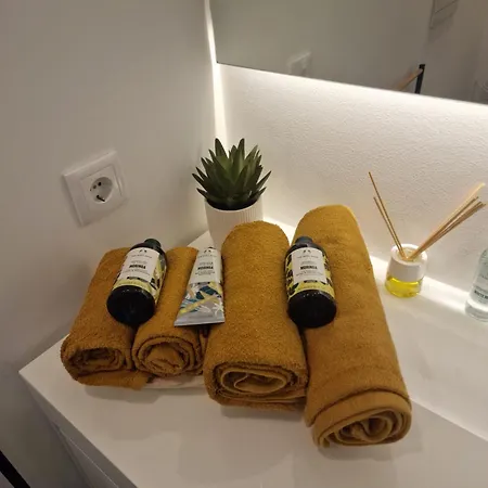 Centro Apartment Aveiro